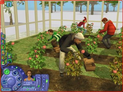 ���� 2 ������� ����