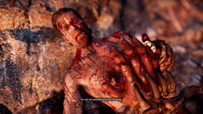 Far Cry Primal ��������
