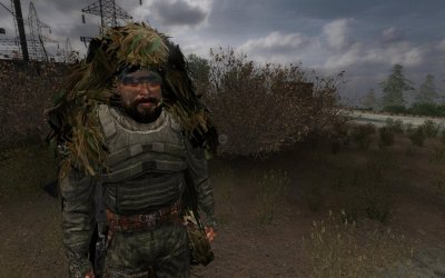 ������� �������� ������� 2016