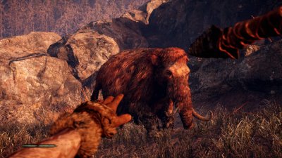 ��� ���� ������