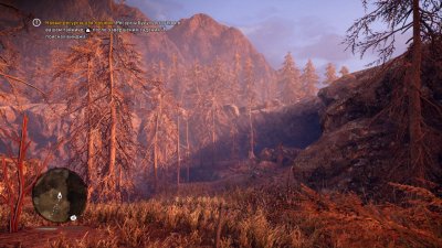 ��� ���� ������