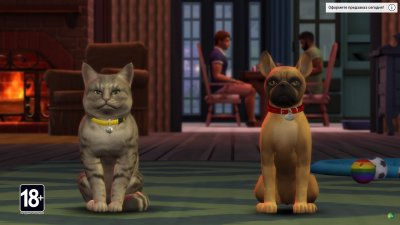 ���� 4 ����� � ������