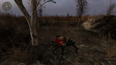 ������� ����� ��������� ��������